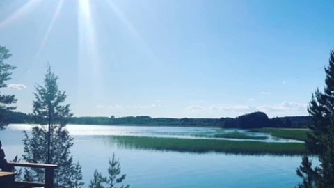 6645f2859e94b012801705